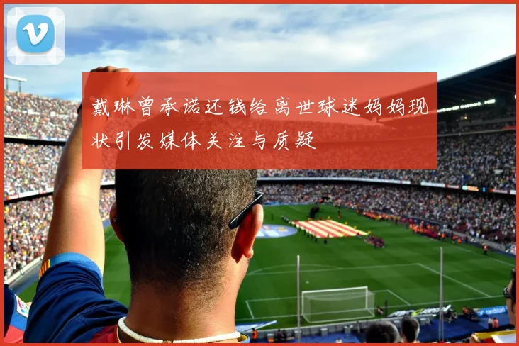 戴琳曾承诺还钱给离世球迷妈妈现状引发媒体关注与质疑