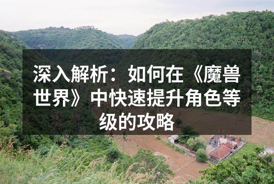 深入解析：如何在《魔兽世界》中快速提升角色等级的攻略