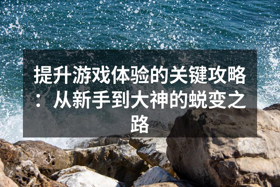 提升游戏体验的关键攻略：从新手到大神的蜕